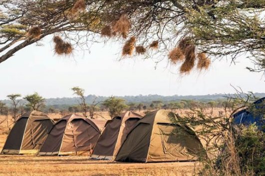 Tanzania Camping Safaris